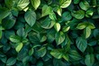 Natural green backdrop with tropical foliage. Generative Ai