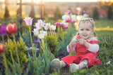 Fototapeta  - a little girl in a red overall near a blooming flowerbed with tulips