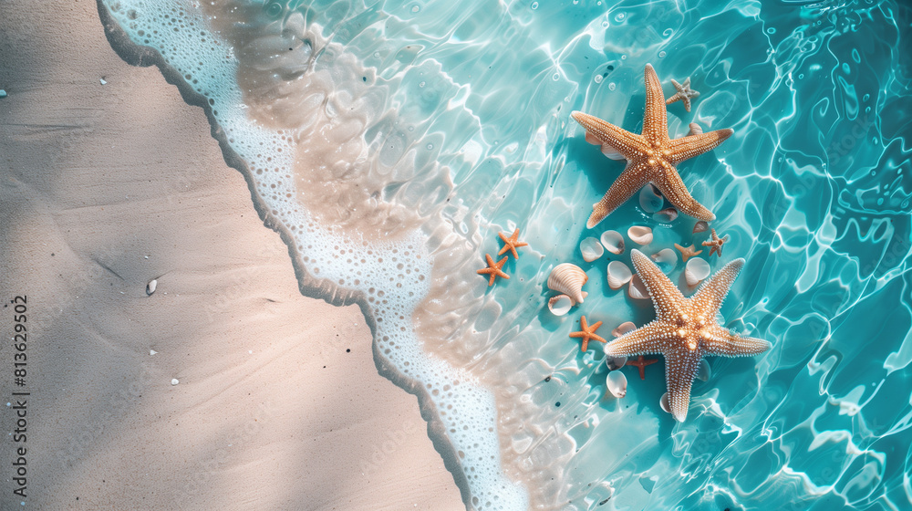 Tropical summer sand beach with starfish. Seashells and starfish on ...