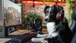 © Volodymyr Shcherbak - A cute funny working at a laptop. At the table sits a dog as a programmer or businessman. dog with headphones sitting in front of the computer