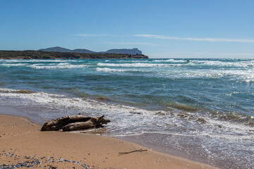 Poster - Landscape of Porto Ferro, in the north of Sardinia, Italy.