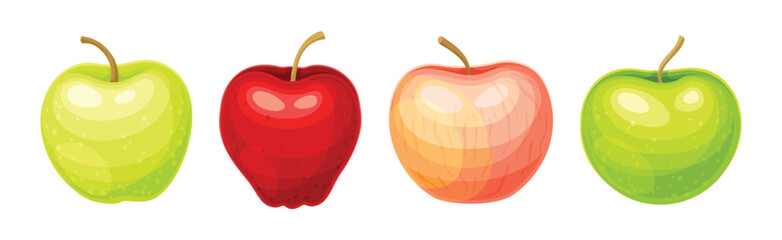 Wall Mural - Ripe Sweet Apple Fruit of Bright Color Vector Set