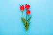 Beautiful fresh red tulip flowers with green leaves on light blue table background. Pastel color. Closeup. Congratulation concept. Top down view.
