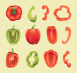 Bell pepper. Sliced fresh vegetables red green and yellow colors exact vector healthy eco vegan products