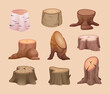 Stumps. Wooden old tree stumps outdoor oak collection exact vector set