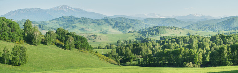 Wall Mural - View of mountains in spring, greenery of forests and meadows, panoramic view	
