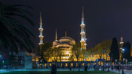 Wall Mural - Blue Mosque on night timelapse view from lawn with palm in Istanbul.