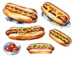watercolor illustration with hotdog and sausage on a white background