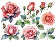 watercolor illustration with different roses, flowers and leaves