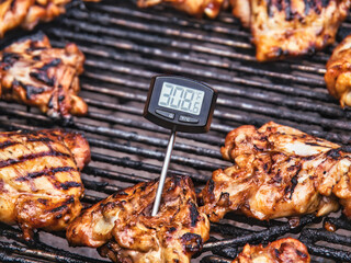 Checking BBQ chicken for safe food temperature with digital instant thermometer.