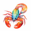 Crayfish illustration. Lobster isolated on a white background. A cute watercolor crab illustration. Seafood element.