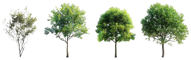 4 different realistic green trees on a white background, png.