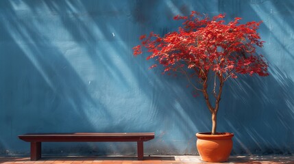 Minimalist outdoor scene with blue wall, terracotta bench and red tree in pot, simple composition, warm colors, vibrant reds, natural sunlight, serene atmosphere, high resolution photography 