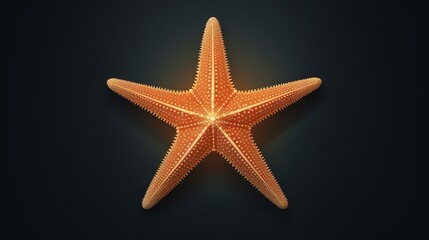 Wall Mural - A close up of a starfish with a bright orange color