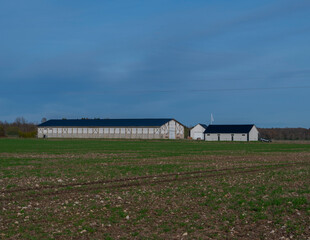 Sticker - old barn in countryside