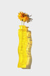 Yellow withered flower cosmos in yellow glass vase with colored reflection on white background, shadow from sunlight, Autumnal still life, minimal style flat lay object, top view, caustics