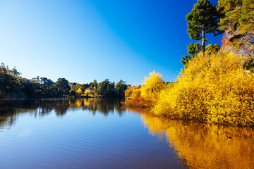 Wall Mural - Lake Daylesford in Victoria Australia