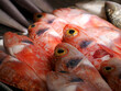 Helicolenus dactylopterus, Blackbelly rosefish fresh fish seafood at Ortigia Syracuse sicily fish market Italy