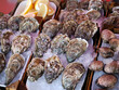 oyster fresh fish seafood at Ortigia Syracuse sicily fish market Italy