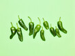 Green pepper over green mint background