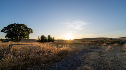 Wall Mural - sunset over the field in southern Australia