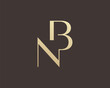 BN or NB letter logo icon design. Classic style luxury initials monogram.