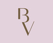 BV letter logo icon design. Classic style luxury initials monogram.