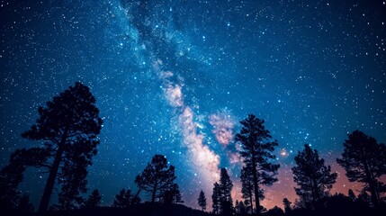 Wall Mural - The Milky Way is a beautiful and vast galaxy filled with stars and dust