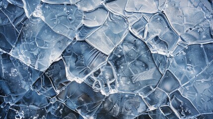 Poster - Intricate ice shards overlap, creating a mosaic of frozen textures captured in sharp detail.