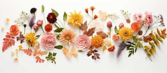 Wall Mural - A fresh collection of autumn flowers beautifully arranged on a white background creating a floral composition that reflects the essence of fall The image is taken from a top down perspective offering