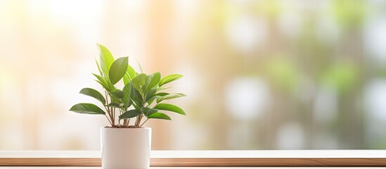 Wall Mural - A fresh green plant with big leaves sits in a white vase on a wooden floor There is a laptop nearby creating a work from home environment This copy space image promotes eco friendly concept and tech