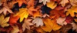© Ilgun - A flat lay image of autumn leaves with plenty of room for text or other elements. Copy space image. Place for adding text and design