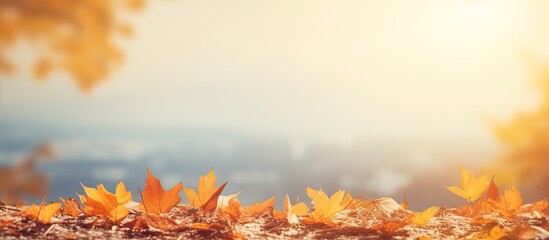 Wall Mural - autumn scenery with dry leaves gracefully descending on the earth creating an ideal copy space image