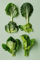 Wall Mural - Fresh Organic Bok Choy and Spinach Leaves on Pastel Green Background