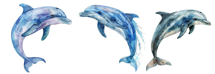 Playful dolphins in watercolor, marine life artistic depiction