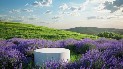 Poster - 3D podium product display with nature. Podium in nature. Background for product presentation. 
