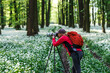 Landscape and wildlife photographer with backpack in forest. Woman with camera on tripod photographing nature in flowering spring woodland