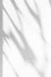 © StylishDesignStudio - Delicate floral shadow on the white wall. Minimalist shadow background.