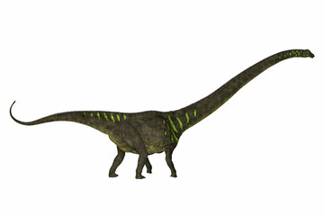 Poster - Mamenchisaurus youngi Side Profile - Mamenchisaurus was a plant-eating sauropod dinosaur from the late Jurassic Period of China.