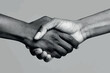 © Abul - African–American and American shaking hands, Black and white image.