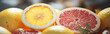 Citrus fruits, sliced lemons, oranges and grapefruits with water droplets background