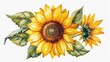 Vibrant sunflower illustration with detailed petals and leaves on a transparent background