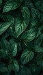 © Maownie Studio - Lush Green Foliage Botanical Nature Background with Vibrant Organic Texture and Dense Detailed Leaves
