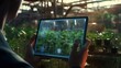  A man is standing and holding a tablet displaying an image of a farm. The tablet analyzes the green plants.
