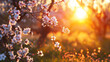 Spring landscape with pink cherry blossoms on the background of sunset forest.