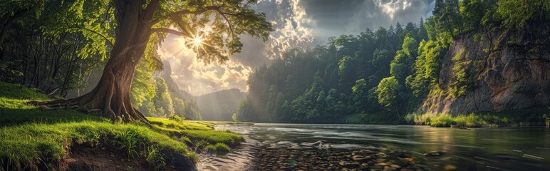 Wall Mural - panoramic photo of beautiful river in the forest, sun shining through clouds, green trees on both sides of the water, green grassy bank next to cliff edge Generative AI