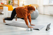 Fitness Workout training. Young healthy fit african girl doing sports exercise on yoga mat on floor at home. Athletic woman in sportswear have training workout for weight loss. Sport and fitness