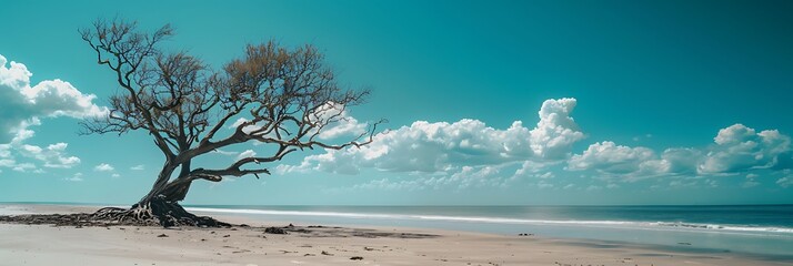 Poster - A dead tree on the beach with a blue sky in the background realistic nature and landscape