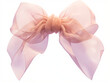 © Creative Habits - Delicate light pink bow illustration in soft pastel colors