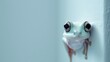green frog animal with copy space on animal themed banner background.
